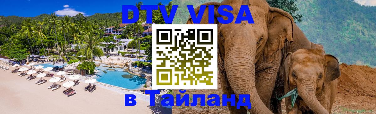 Оформление DTV визы под ключ: стоимость и тарифы, только загранпаспорт - 20.11.2025 